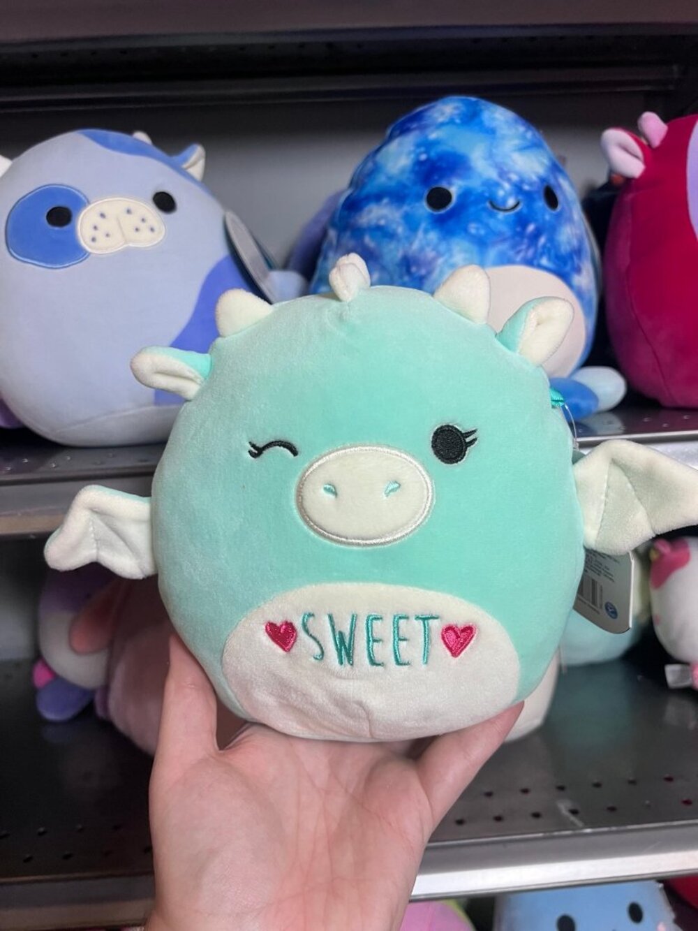 Squishmallows Palasha the Dragon 8" Stuffed Plush nwt